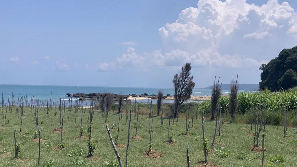 Plazhi i Himarës (Riviera Albanesa, Albania) — foto 4