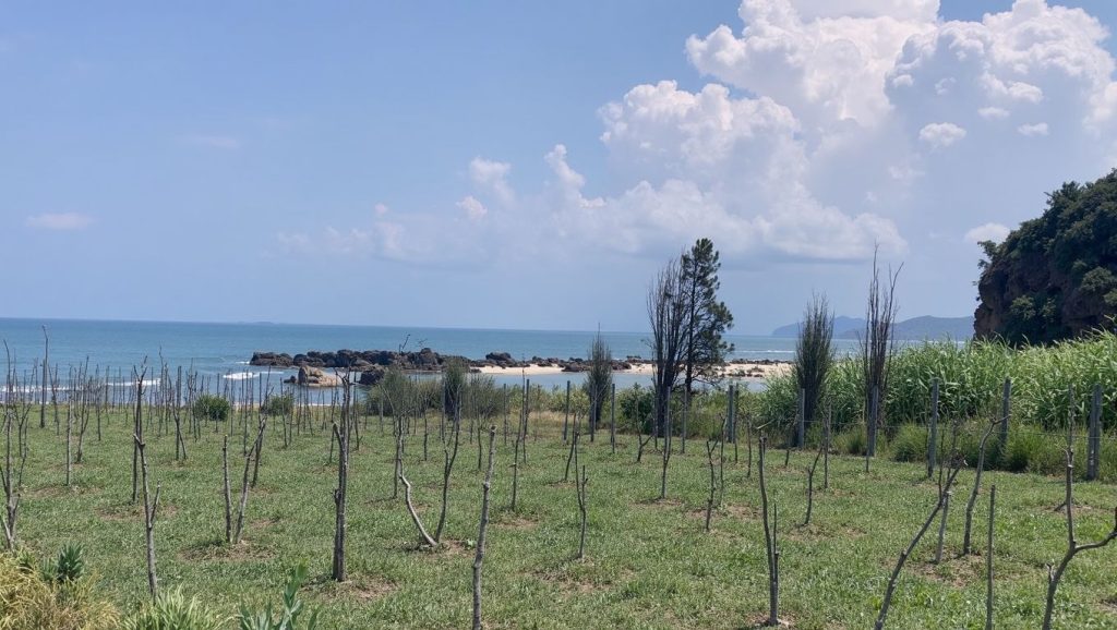 Plazhi i Llamanit (Riviera Albanesa, Albania) — foto 2