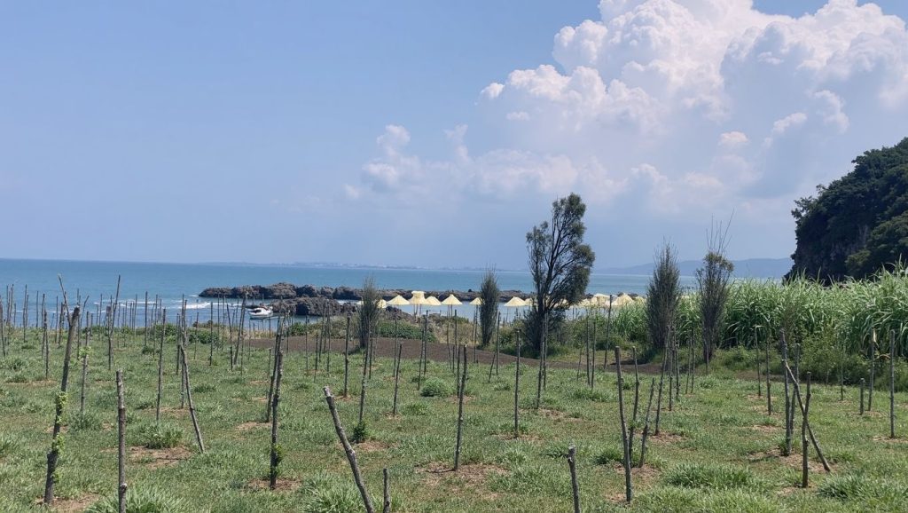 Plazhi i Llovizit (Riviera Albanesa, Albania) — foto 4