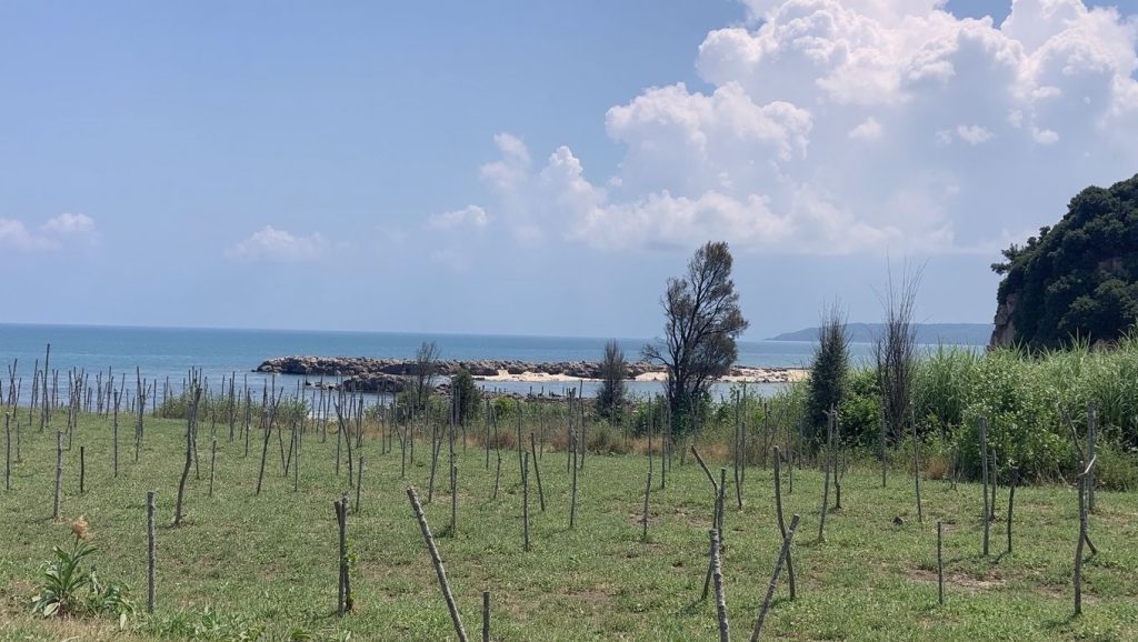 Plazhi Mango (Sarandë, Albania) — foto 4