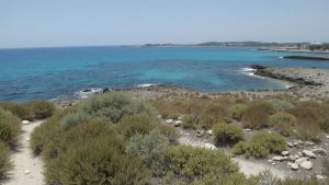 Polis Beach