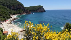 Pomodna plaža