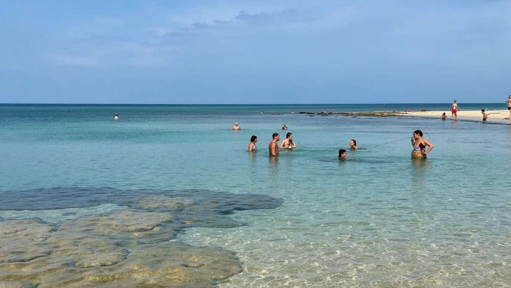 Spiaggia di Rosa Marina — foto 6 de 6