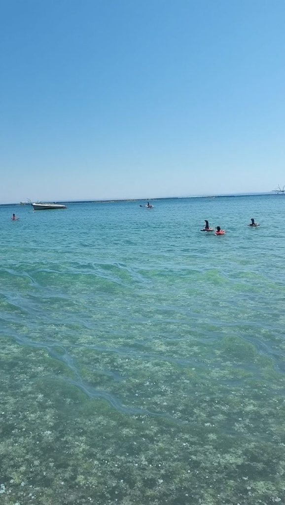 Alrededores de Sainte-Restitude, Calvi