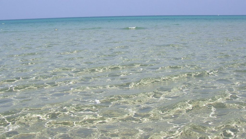 Oleaje en la orilla de Sirens Beach, costa de ?