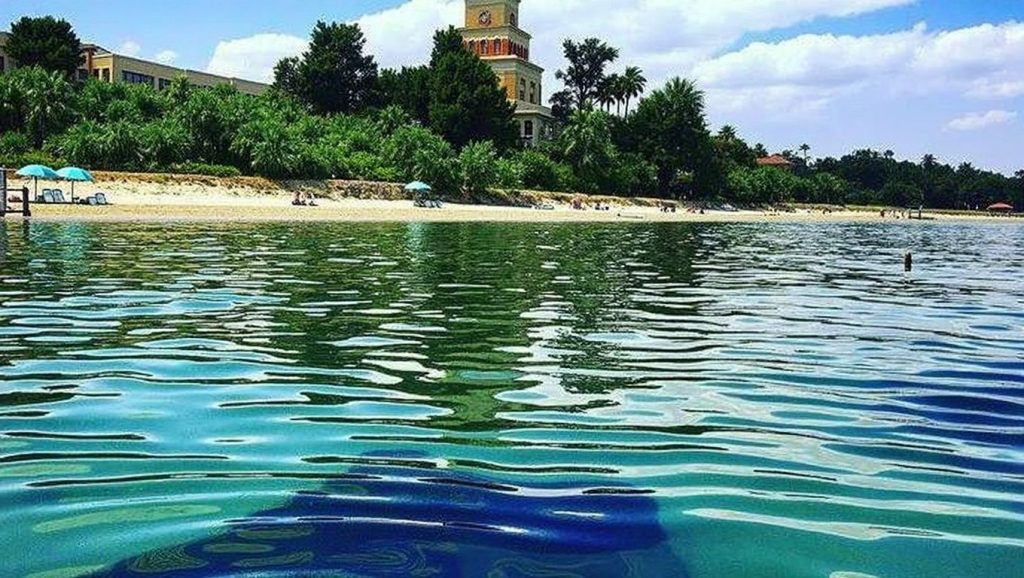 Spiaggia di Torre del Cerrano — foto 1 de 6