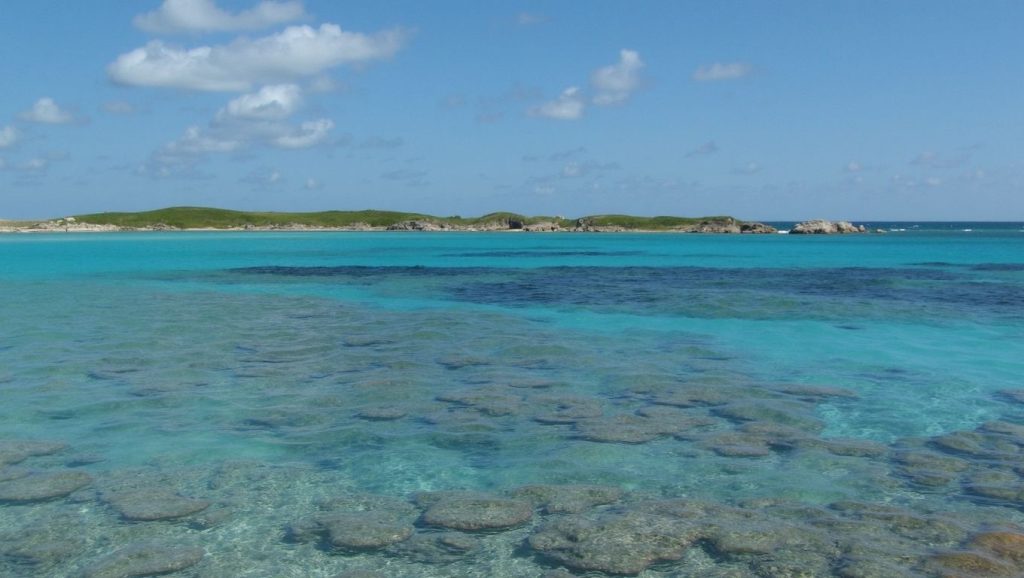 Arena y orilla en Stagnolo, Rondinara, Córcega