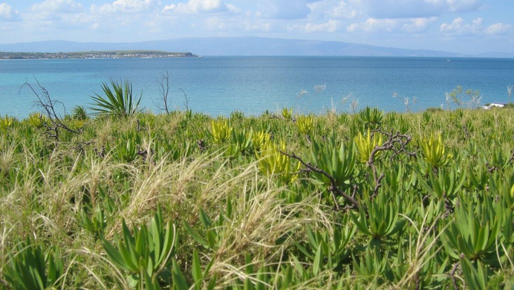 Tekirova Beach (Antalya, Turquía) — foto 6