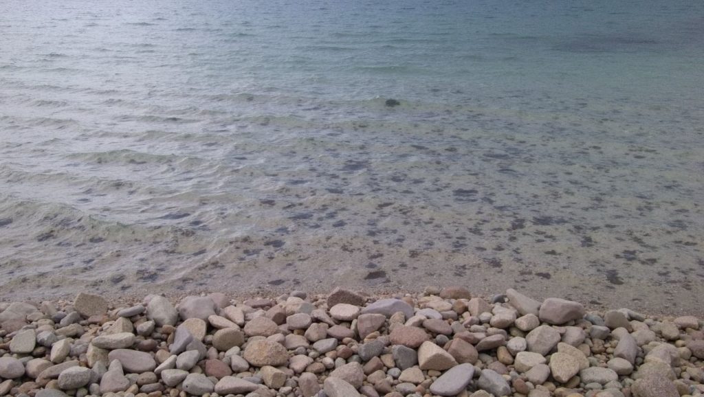 Tiha (Martinšćica, Cres) — foto 6