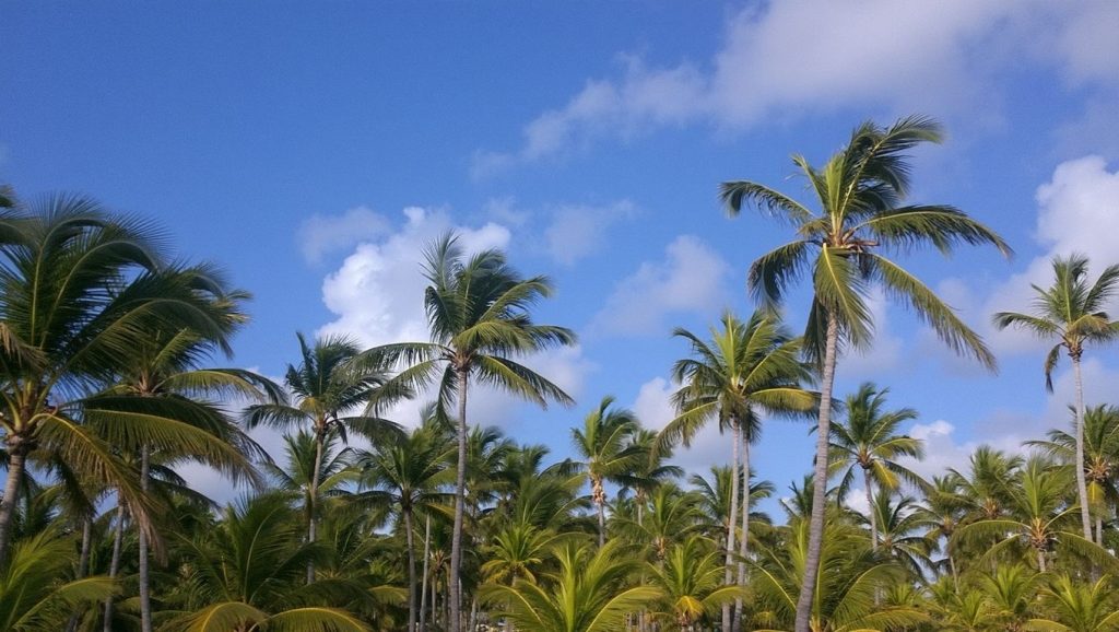 Vista del litoral en Uvero Alto, Punta Cana