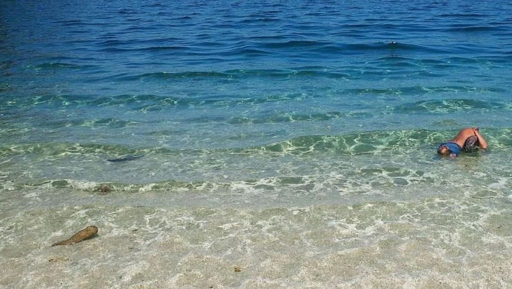 Línea de costa en Vaja, Grad Korčula