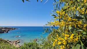 Vrissi Beach | Sunrise Beach