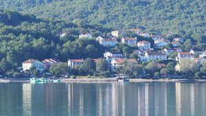 Zala