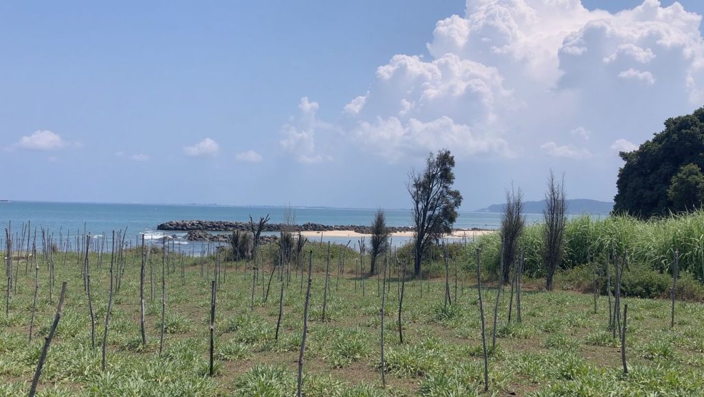 Vista de Zhanpovel desde la orilla, Vlorë