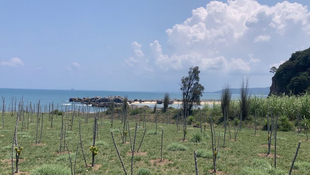 Entorno de Zvërnec Beach, Vlorë, Albania