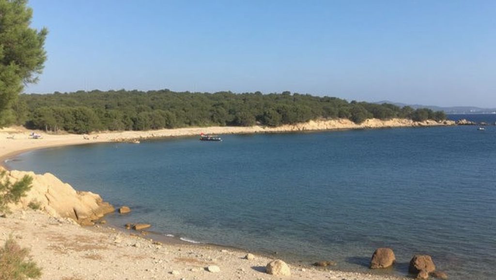 Razza di Junco — foto 4 de 6