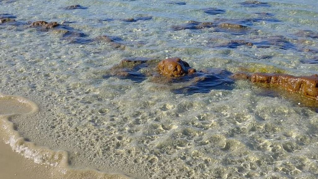 Spiaggia di Cala Cipolla — foto 5 de 6