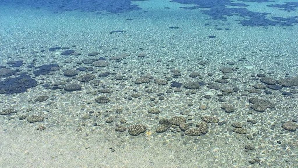 Spiaggia di Capo Malfatano — foto 3 de 6