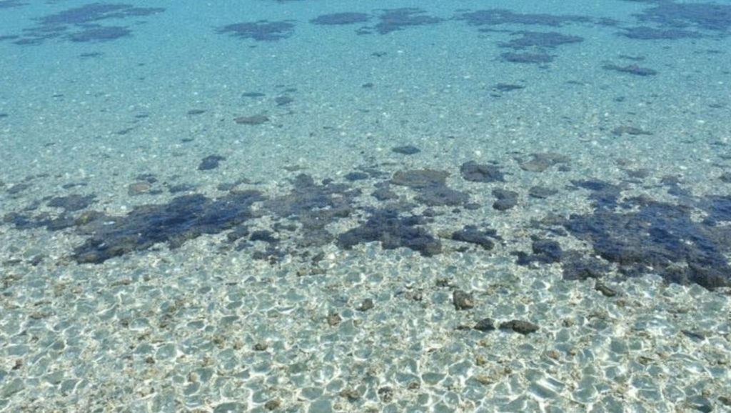 Spiaggia di Capo Malfatano — foto 4 de 6