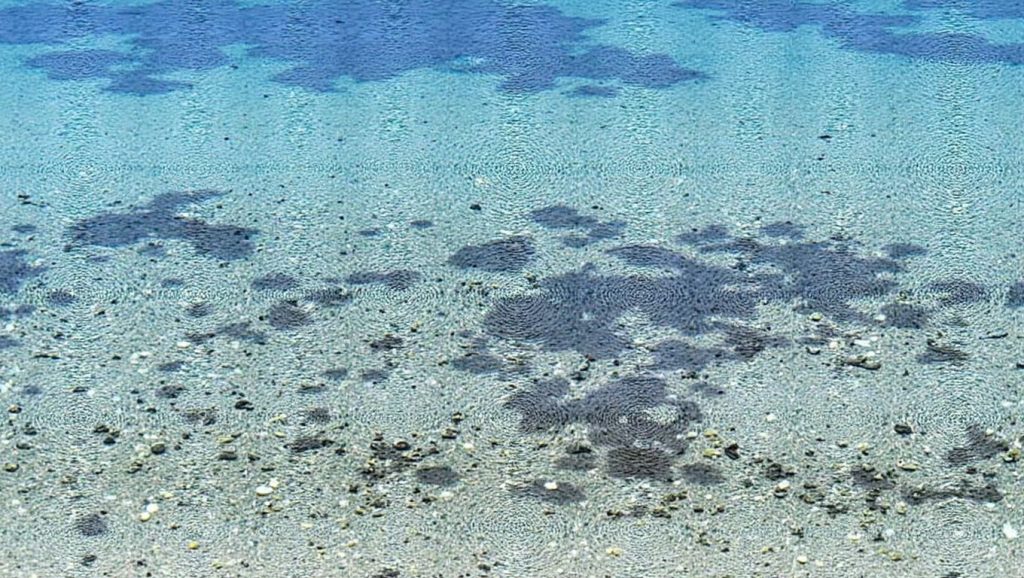 Spiaggia di Capo Malfatano — foto 5 de 6