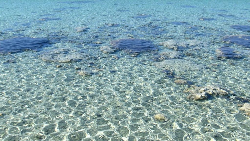 Spiaggia di Capo Malfatano — foto 6 de 6