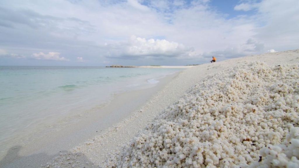 Spiaggia di Is Arutas — foto 6 de 6