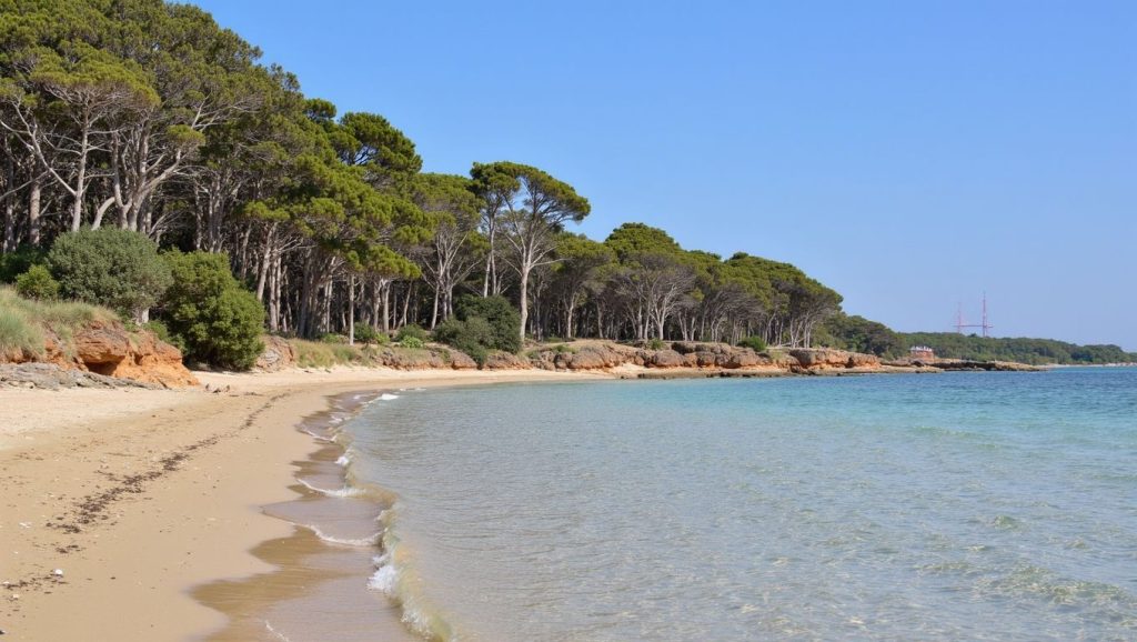 Spiaggia di Mugoni — foto 3 de 6