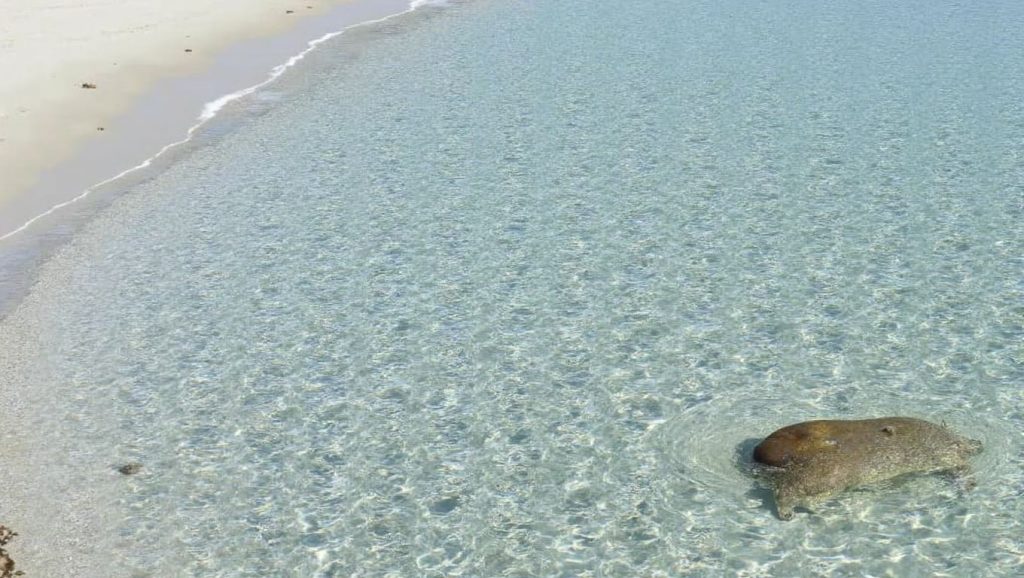 Spiaggia di Musculedda — foto 2 de 6