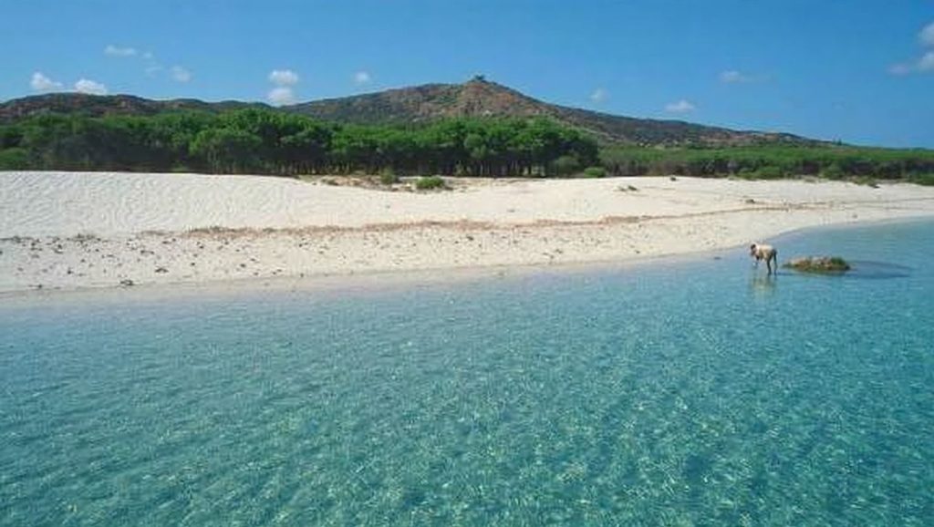 Spiaggia di Porto Botte — foto 4 de 6