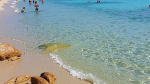 Spiaggia La Celvia (Arzachena, Cerdeña)