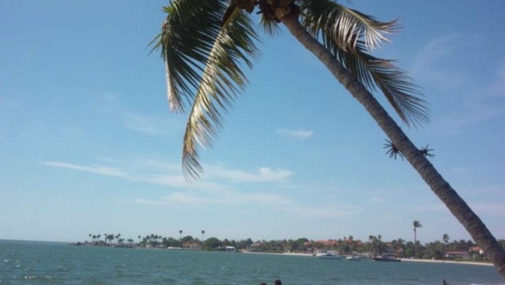 Boca de Teacapán (Escuinapa, México) — foto 5