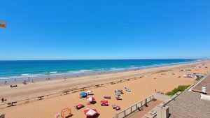 Cholla Bay (Puerto Peñasco, Sonora)