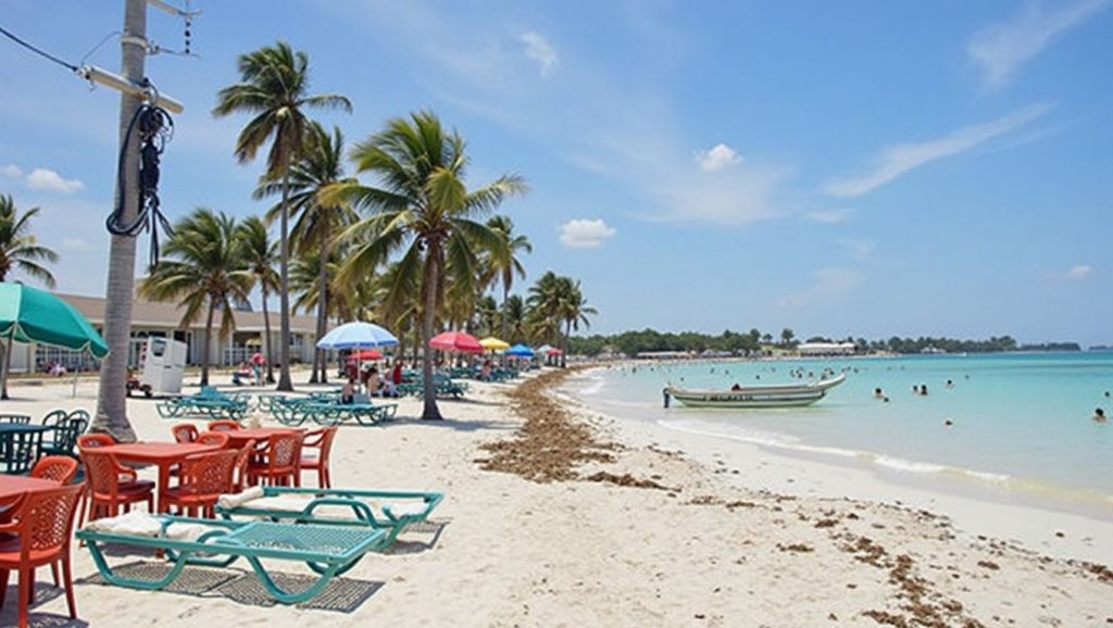 Dos Mulas (Costa Maya, México) — foto 1
