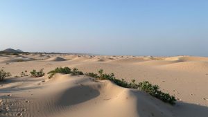 Dunas de Don Chema (Hermosillo, Sonora)