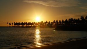 Playa 4 Surcos