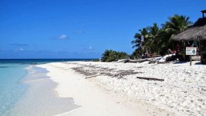 Playa 88 (Cozumel, México)