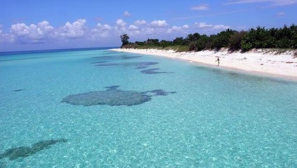 Playa 88 (Cozumel, México) — foto 2