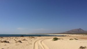 Praia de Abrohla (Isla de Boa Vista, Cabo Verde)