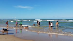 Playa Altamira (San Quintín, Baja California)