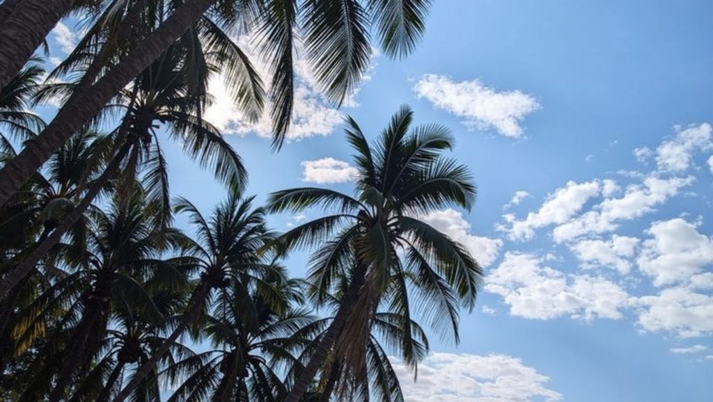 Playa Bacocho (Oaxaca, México) — foto 2