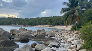 Playa Cactus