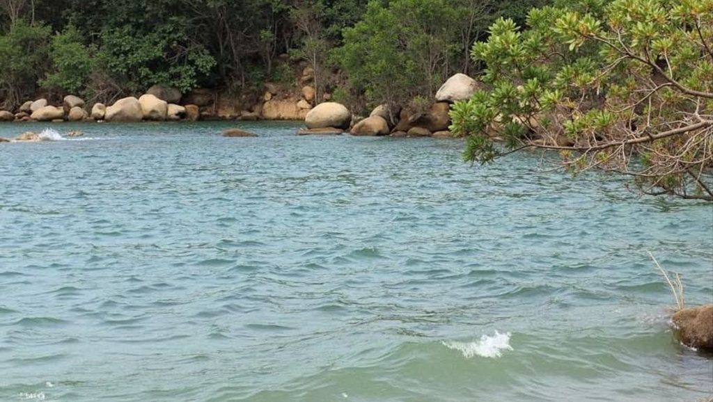 Playa Caleta Acapulco (Guerrero, México) — foto 4