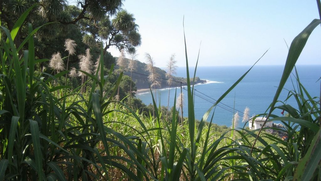 Praia Calheta Grande (São Vicente, Cabo Verde) — foto 2
