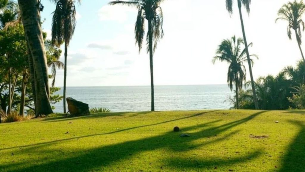 Playa Chacalilla (Riviera Nayarit, México) — foto 3