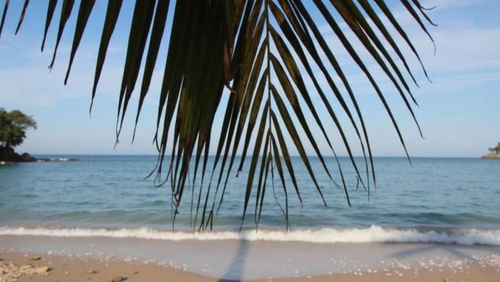 Playa Chacalilla (Riviera Nayarit, México) — foto 6