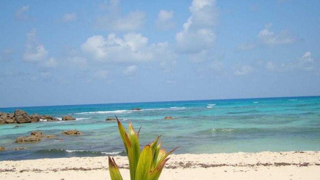 Playa Chen Río Norte (Cozumel, México) — foto 3