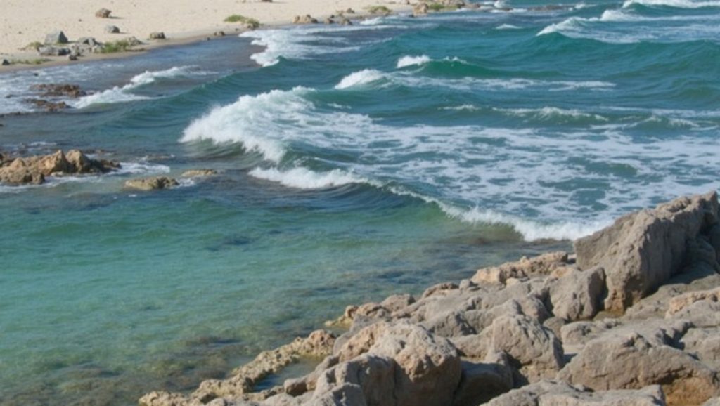 Playa Chen Río Norte (Cozumel, México) — foto 4