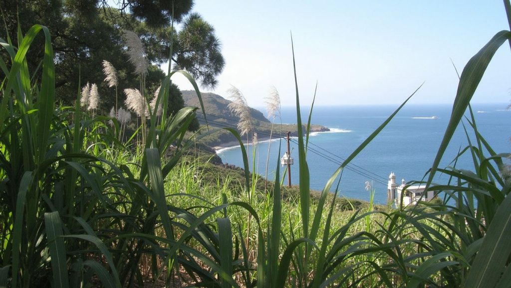 Praia da Cova Figueira (Santiago, Cabo Verde) — foto 2
