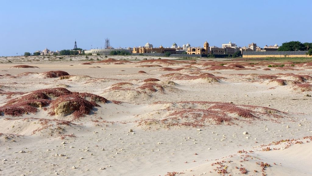 Praia d'Diante (Boa Vista, Cabo Verde) — foto 4