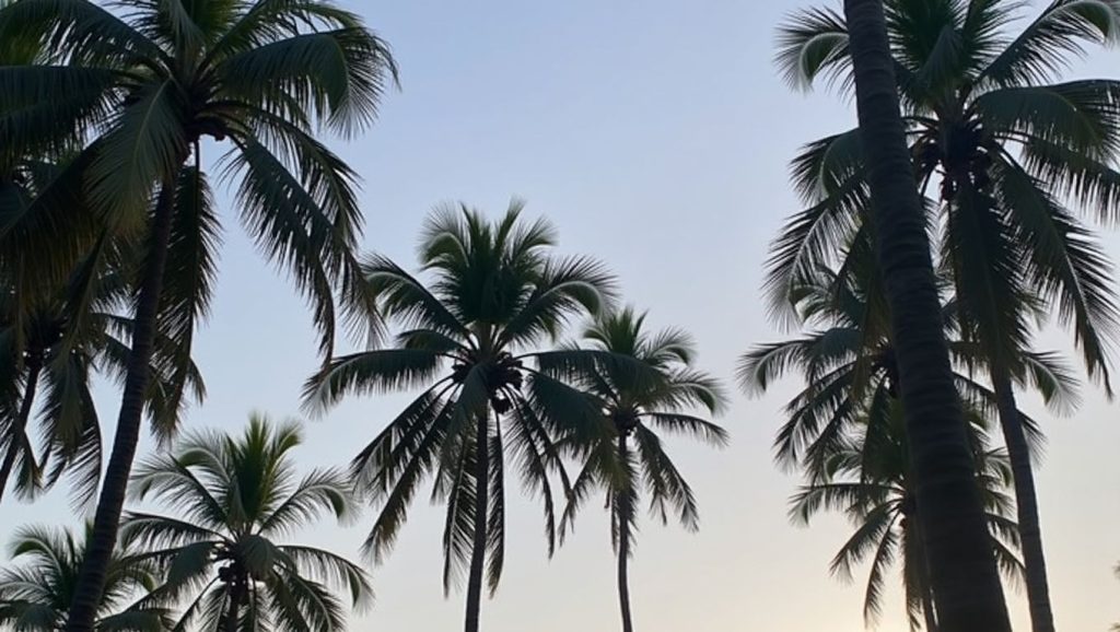Playa El Malacate (Lázaro Cárdenas, México) — foto 6
